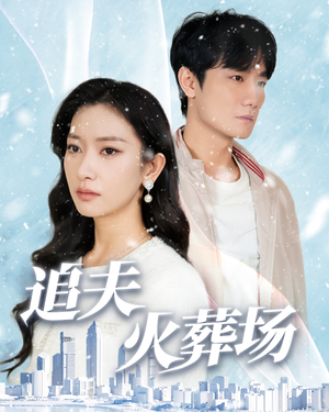追夫火葬场（31集）亿万短剧抢先看