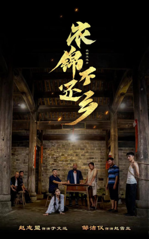 衣锦不还乡（69集）短剧介绍