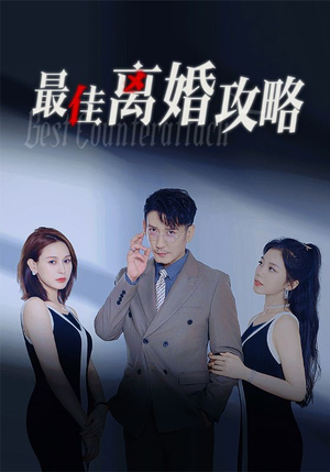 最佳离婚攻略（31集）一口气追完全集