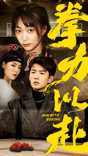 拳力以赴(80集) 拳力以赴(80集)全集一次看完