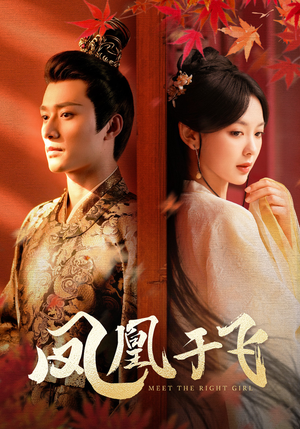 凤凰于飞(79集) 凤凰于飞(79集)热门短剧推荐