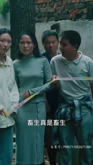 爱意随风起（71集）超火短剧抢先看