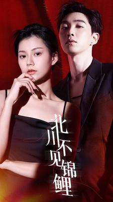 北川不见锦鲤（72集）贝贝短剧分享