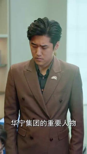 全能主妇(98集) 全能主妇(98集)爆款短剧一起追