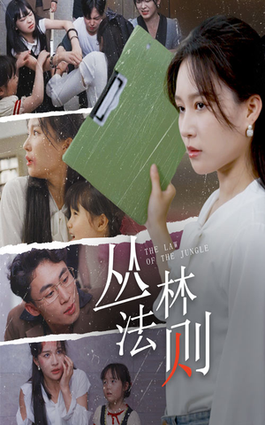 丛林法则（29集）高质量短剧推荐