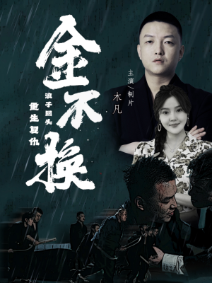 金不换(32集) 金不换(32集)短剧解说热门