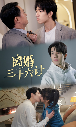 离婚三十六计（96集）一口气看完全集