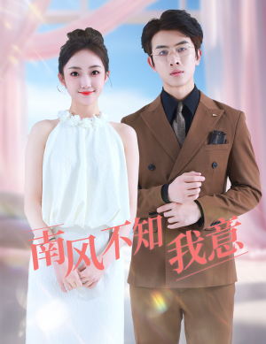 南风不知我意（81集）全集完整版