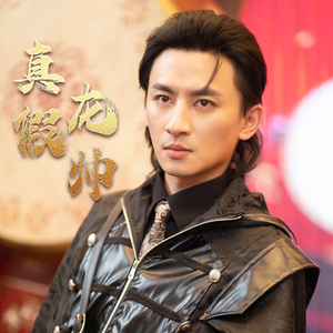 真假龙帅(81集) 真假龙帅(81集)免费看短剧全集