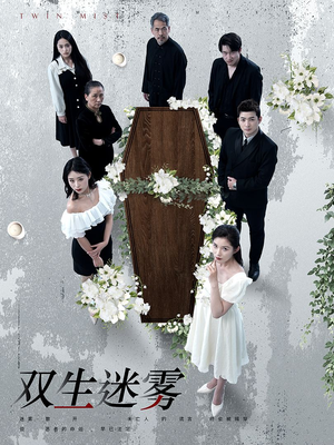 双生迷雾（80集）第二季