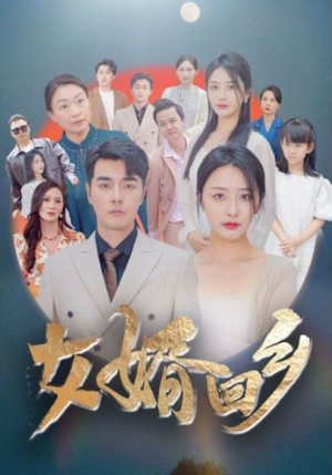 女婿回乡（120集）短剧上头又好看