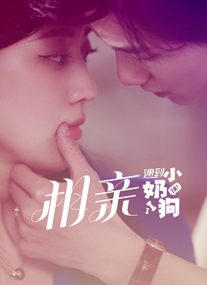 相亲遇到小奶狗(80集) 相亲遇到小奶狗(80集)全网短剧抢先看