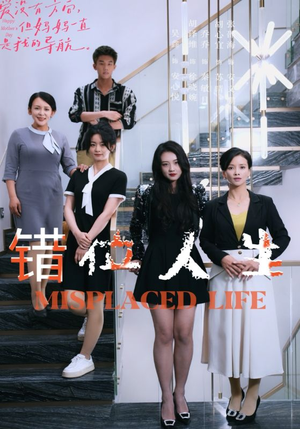 错位人生（89集）热门短剧又来了