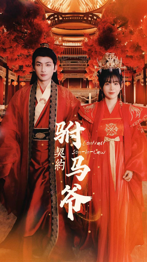 契约驸马爷（74集）精彩短剧分享