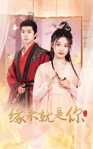 缘来就是你(65集) 缘来就是你(65集)全集完整版