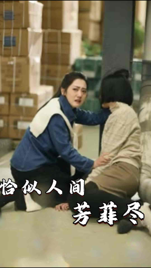 恰似人间芳菲尽(68集) 恰似人间芳菲尽(68集)好短剧分享