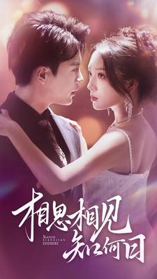 相思相见知何日（81集）短剧在哪里看