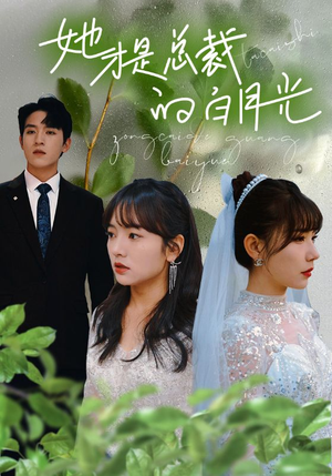 她才是总裁的白月光(90集) 她才是总裁的白月光(90集)爆款短剧追不停