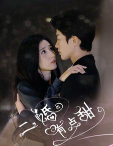 二婚有点甜（88集）高分佳作免费看