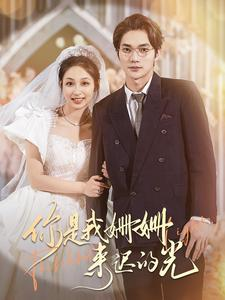 你是我姗姗来迟的光(99集) 你是我姗姗来迟的光(99集)短剧片段推荐