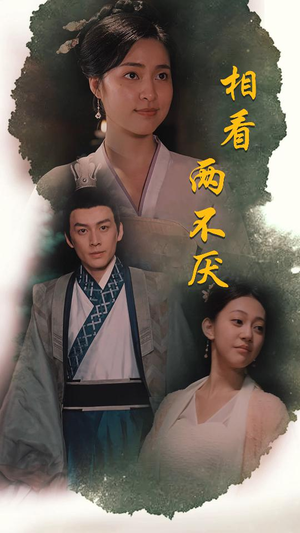 这个王妃不好惹(85集) 这个王妃不好惹(85集)好看的短剧