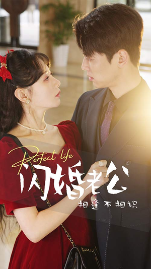 闪婚老公相逢不相识（90集）免费短剧看全集