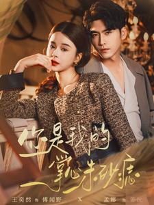 你是我的掌心朱砂痣（80集）爆款短剧追不停