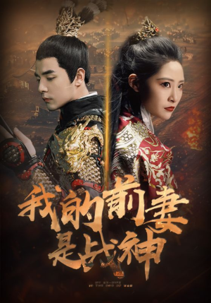 我的前妻是战神（85集）360网盘观看