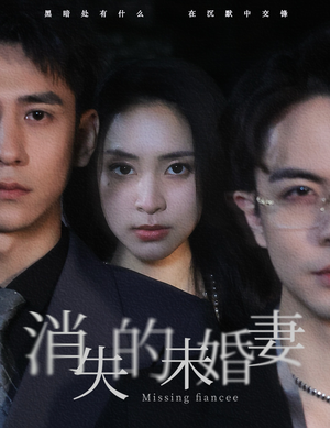 消失的未婚妻(82集) 消失的未婚妻(82集)爆款短剧一起追