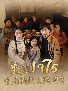 重生1975开局撕毁回城调令（83集）独家资源免费看