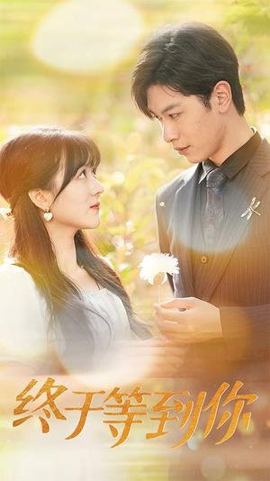 你是我的木槿年华（80集）大结局完美收官