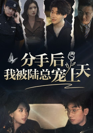 分手后,我被陆总宠上天(76集) 分手后,我被陆总宠上天(76集)红果短剧免费看