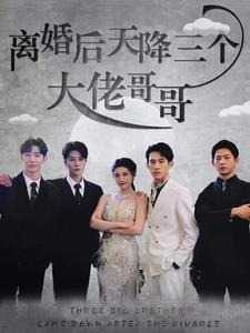 离婚后天降三个大佬哥哥(83集) 离婚后天降三个大佬哥哥(83集)短剧解说热门