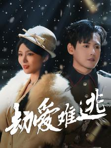 24.劫爱难逃(30集) 24.劫爱难逃(30集)热播短剧分享