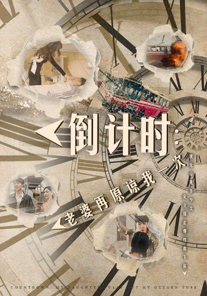 倒计时:老婆再原谅我一次(100集) 倒计时:老婆再原谅我一次(100集)番茄短剧看全集