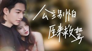 公主别怕，臣来救驾（90集）一口气追完全集