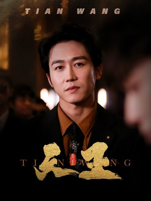 5天王(100集) 5天王(100集)全部免费看全集