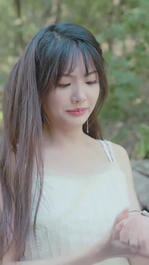 插翅难飞 （30集）免费短剧合集