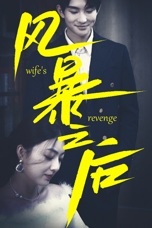 风暴之后（80集）精彩短剧下载