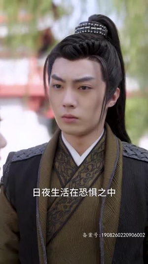 凤掌九天（100集）短剧热门分享