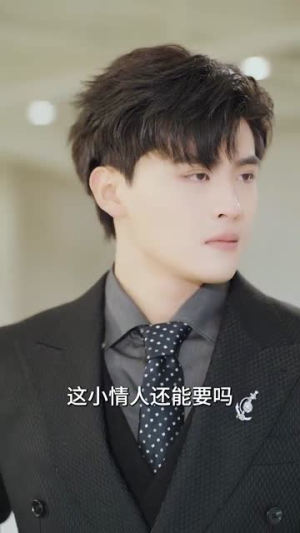 快穿盛宠（90集）免费短剧全集看