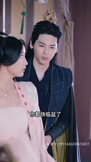 霸道王爷的在逃王妃（88集）在哪看