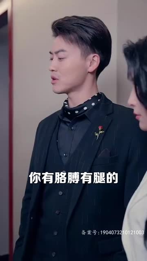 腾龙四海（83集）原创精彩短剧