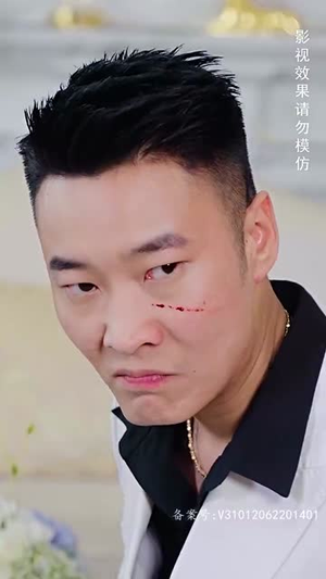 傲视潜龙（100集）热门短剧排行榜