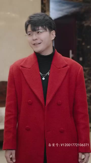 离婚后，美女总裁倒追我（100集）免费在线看全集