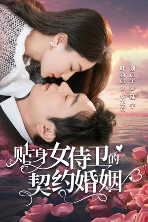 贴身女侍卫的契约婚姻(91集) 贴身女侍卫的契约婚姻(91集)最后一集