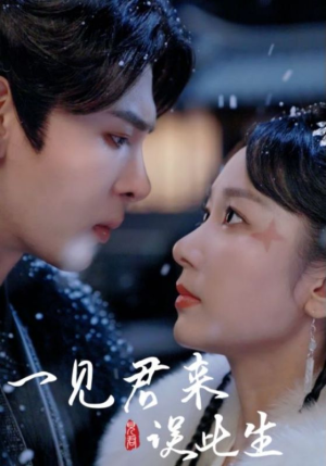 一见君来误此生(95集) 一见君来误此生(95集)免费看全网短剧