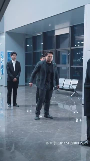 锦龙(82集) 锦龙(82集)全集完整版