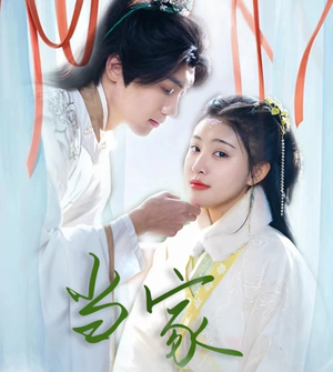 傻子王爷娇宠妃&当家（50集）好看的短剧来了