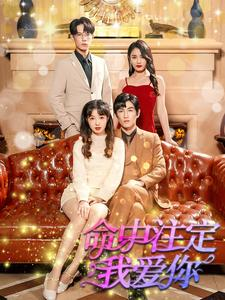 命中注定我爱你（99集）好看的短剧